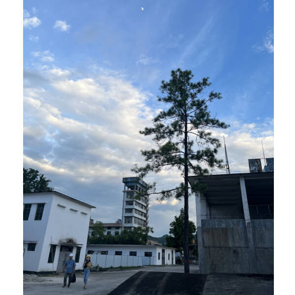 CAMPHENE/IBOA/IBOMA/IBA -manufacturer