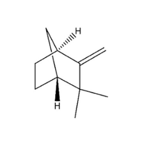 Camphene CAS 79-92-5 Molecular Structure