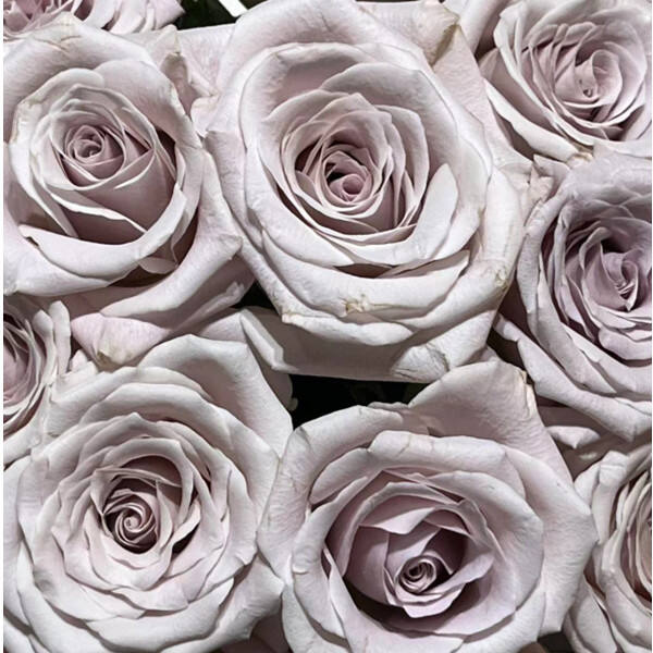 Happy Mid Autumn Festival