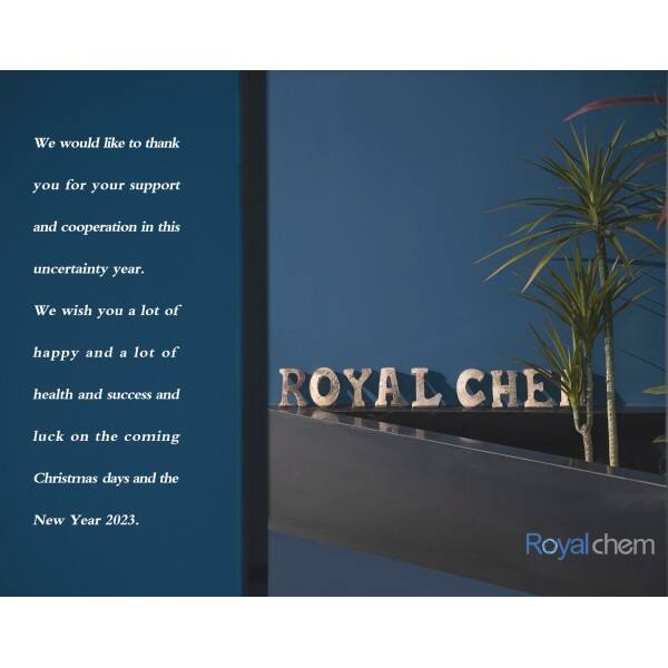 祝圣诞新年快乐